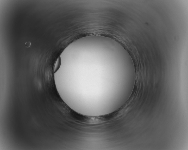 X0000090490623200707130931