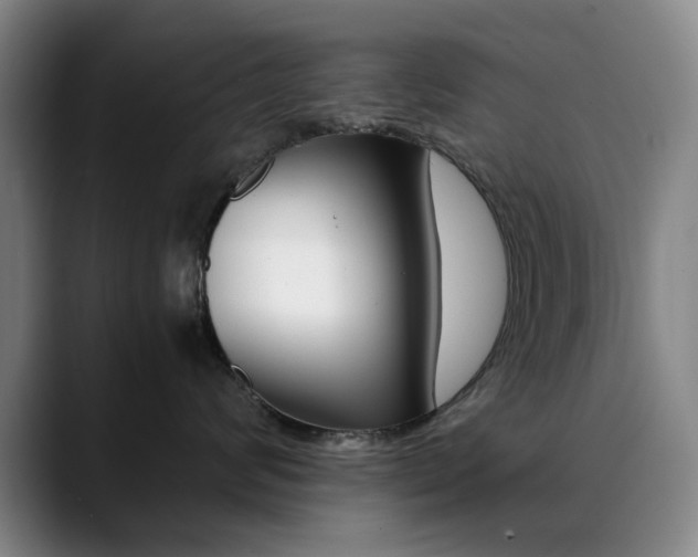 X0000090490624200707130931
