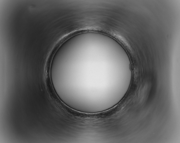 X0000090490628200707130931