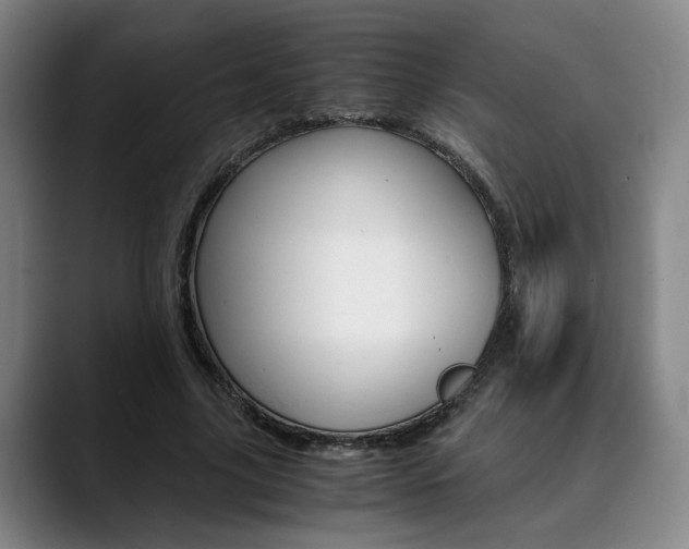 X0000090490635200707130931