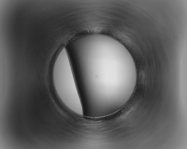 X0000090490638200707130931