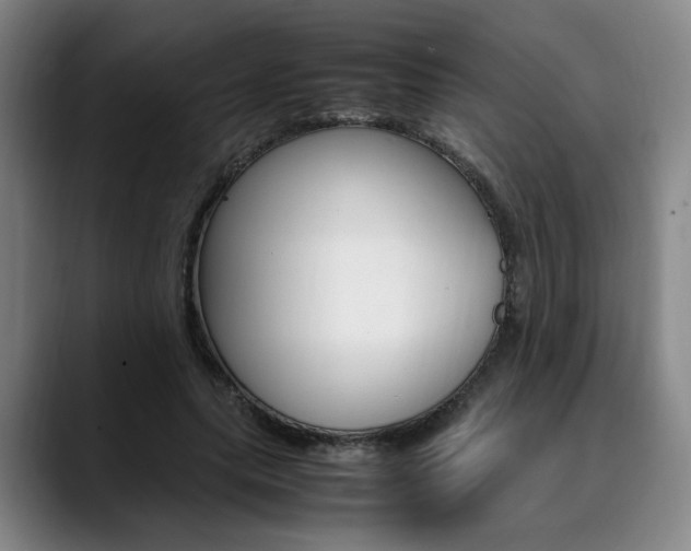 X0000090490639200707130931