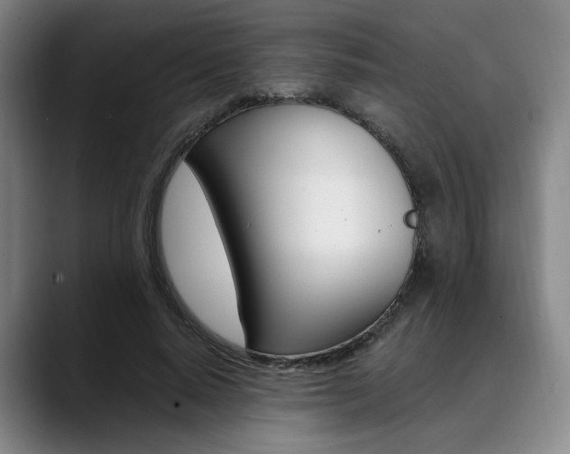 X0000090490640200707130931