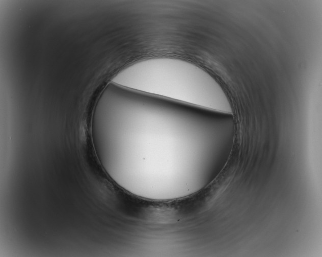 X0000090490644200707130931