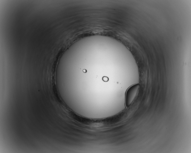 X0000090490653200707130931