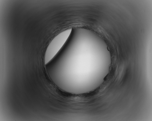 X0000090490655200707130931