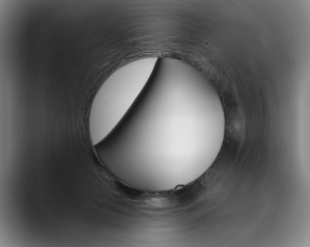 X0000090490658200707130931
