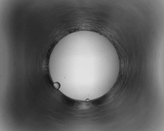 X0000090490663200707130931