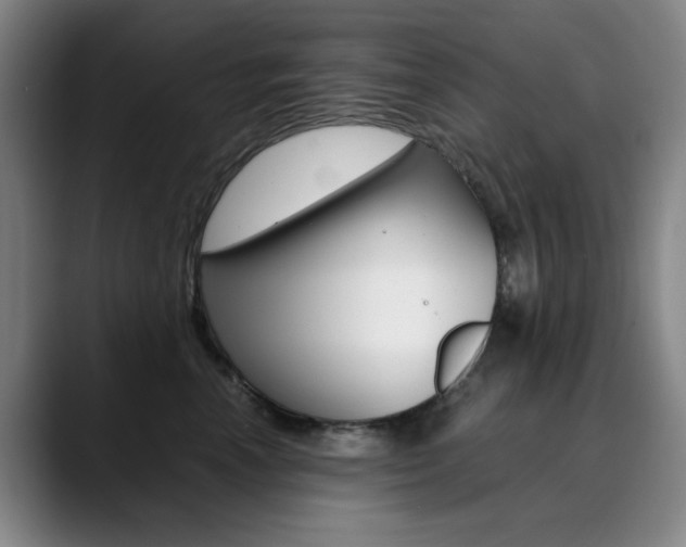 X0000090490666200707130931