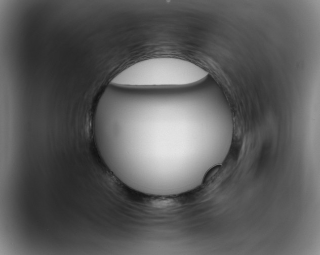 X0000090490669200707130931