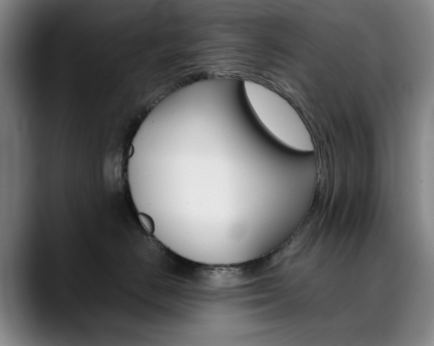 X0000090490670200707130931