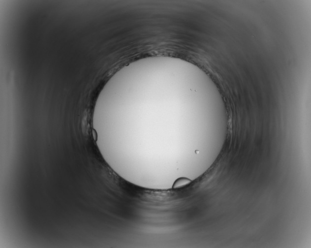 X0000090490671200707130931