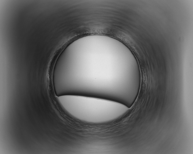 X0000090490674200707130931
