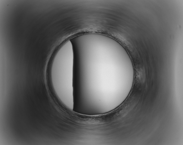 X0000090490678200707130931
