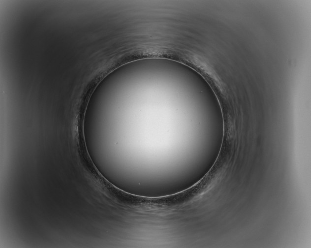 X0000090490681200707130931
