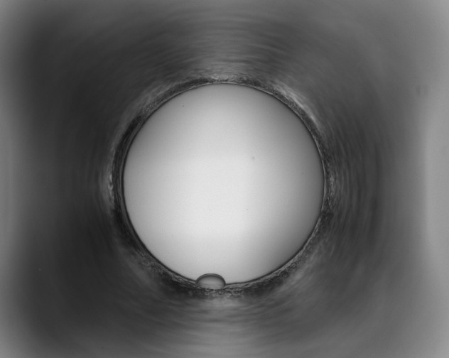 X0000090490682200707130931