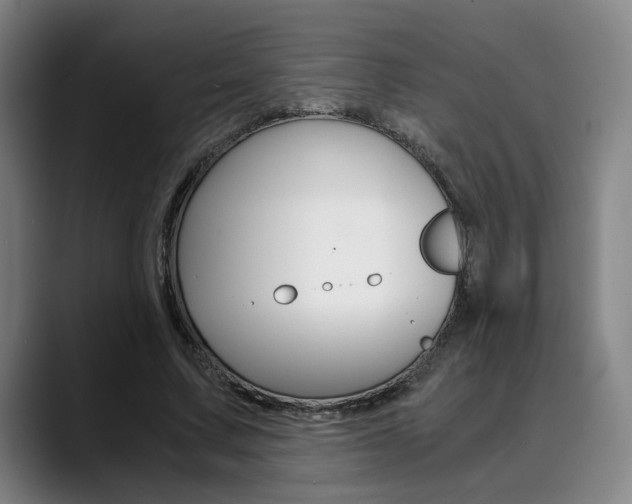 X0000090490683200707130931