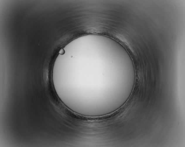 X0000090490686200707130931