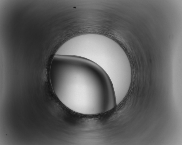 X0000090490689200707130931