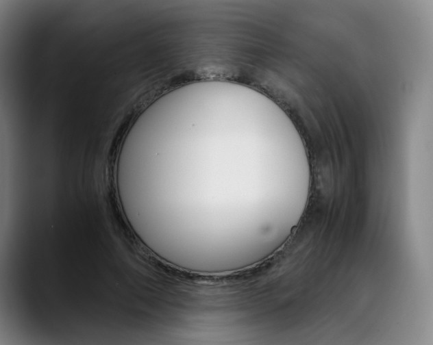 X0000090490690200707130931