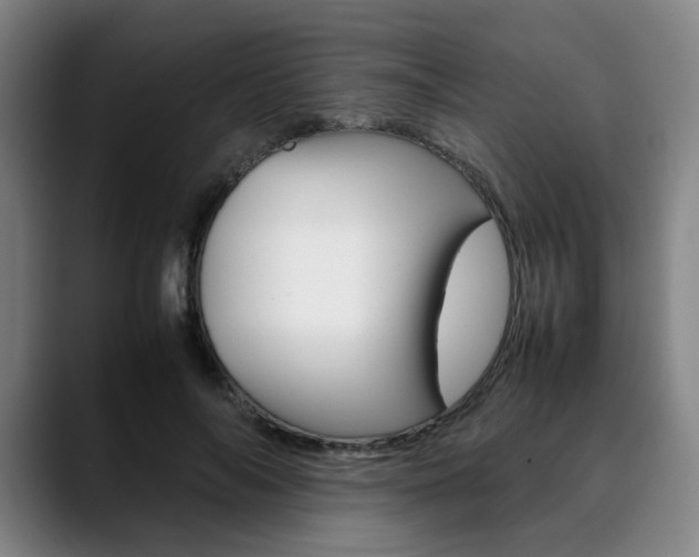 X0000090490694200707130931