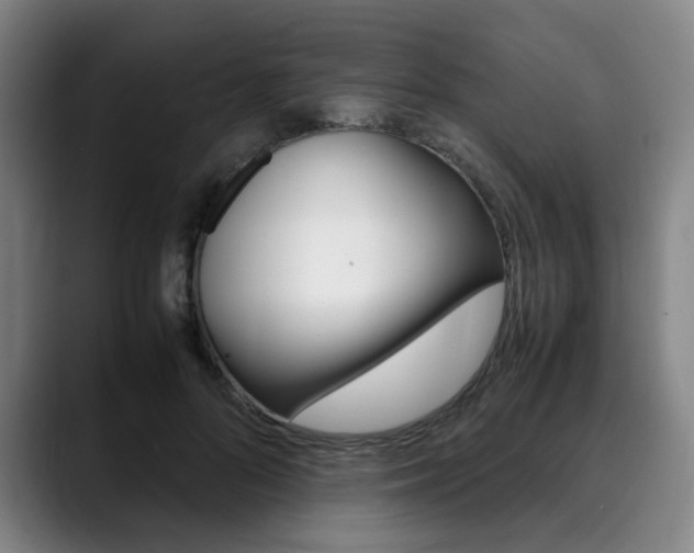 X0000090490696200707130931