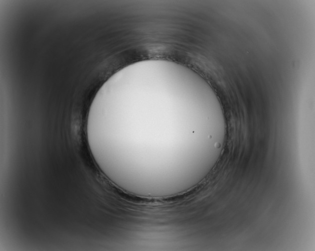 X0000090490698200707130931