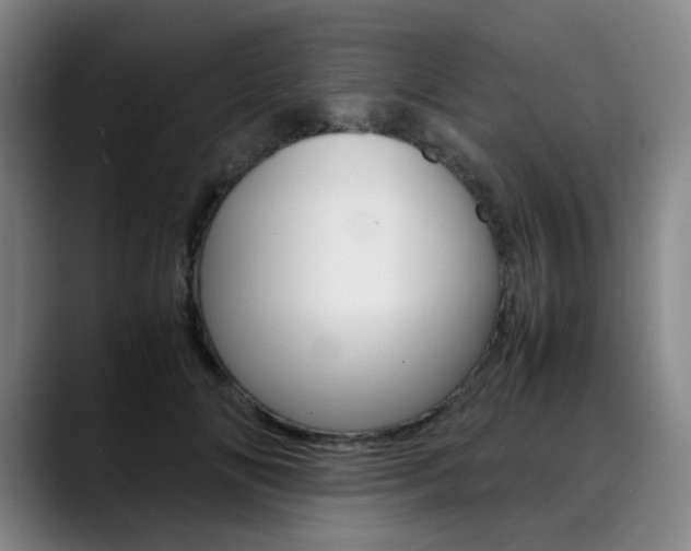 X0000090490702200707130930