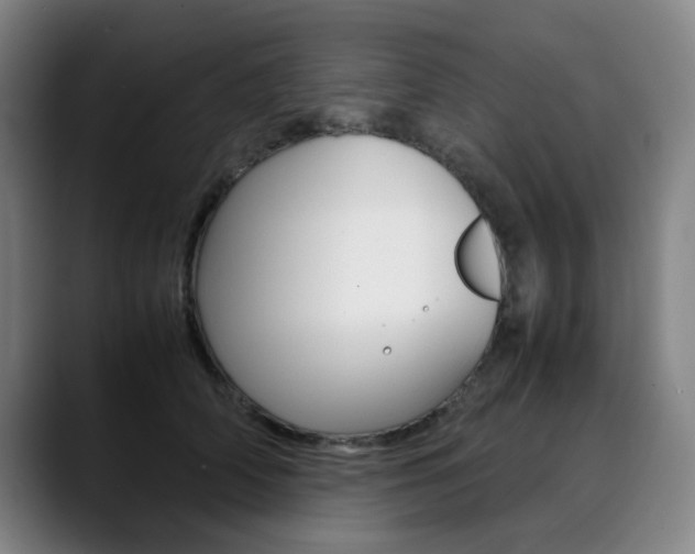 X0000090490706200707130930