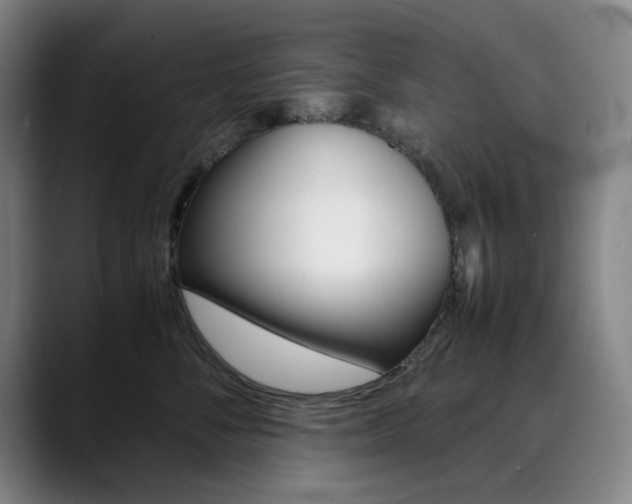 X0000090490716200707130930