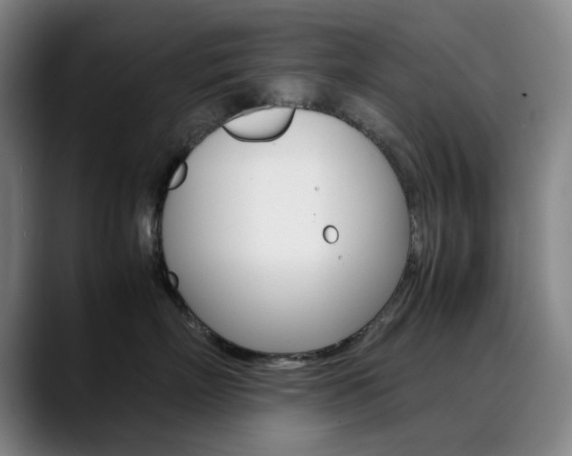 X0000090490718200707130930