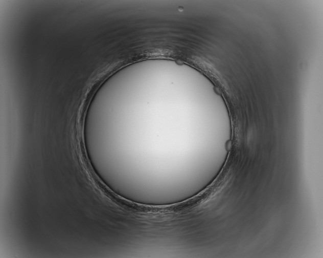 X0000090490721200707130930