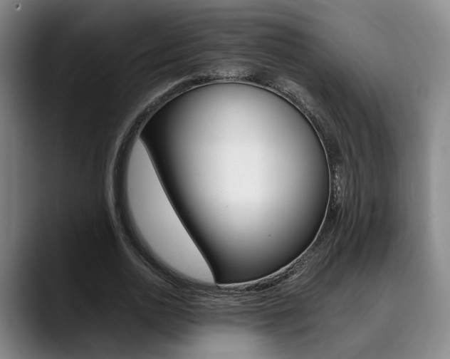 X0000090490726200707130930