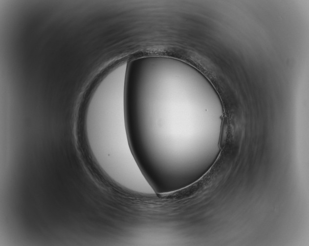 X0000090490728200707130930