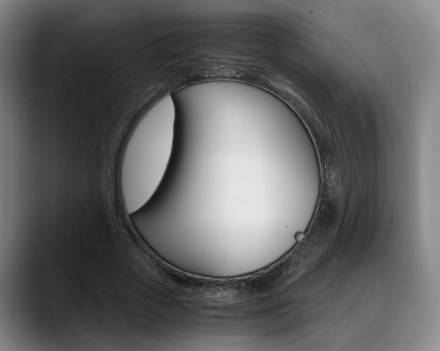 X0000090490729200707130930