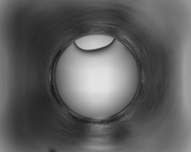 X0000090490733200707130930