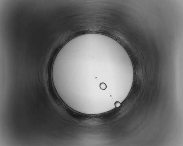 X0000090490734200707130930