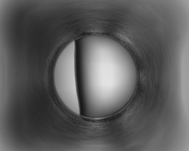 X0000090490735200707130930