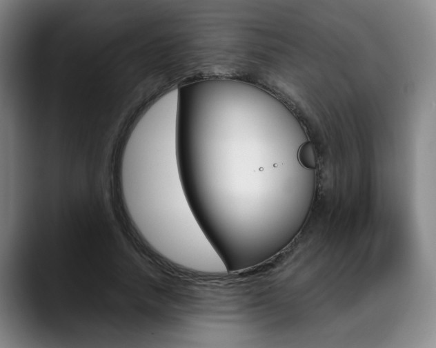 X0000090490738200707130930
