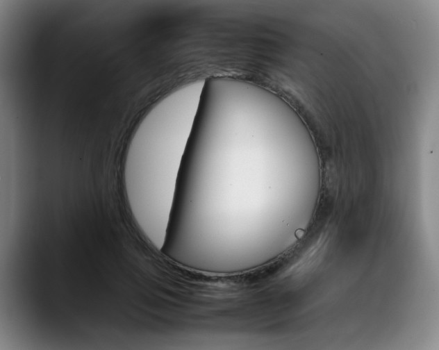 X0000090490741200707130930