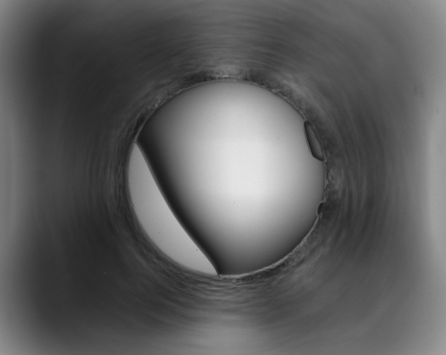 X0000090490744200707130930