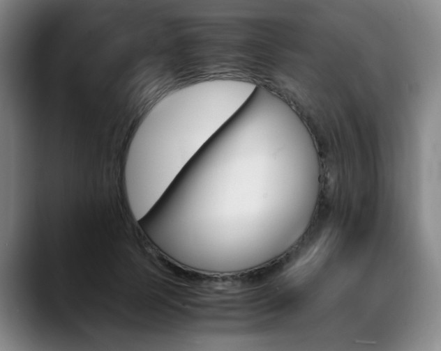 X0000090490745200707130930