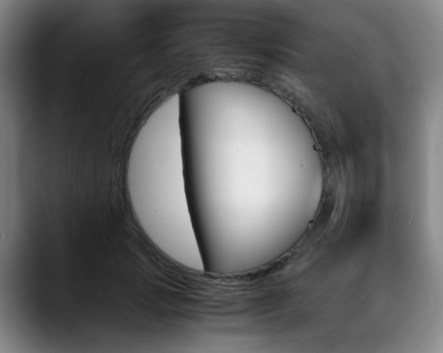 X0000090490749200707130930
