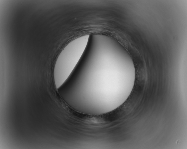 X0000090490755200707130930