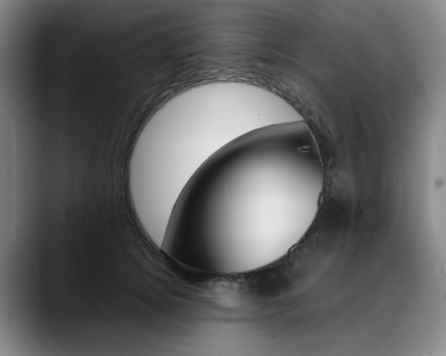 X0000090490756200707130930