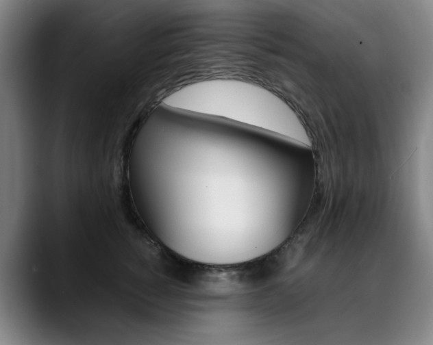 X0000090490760200707130930