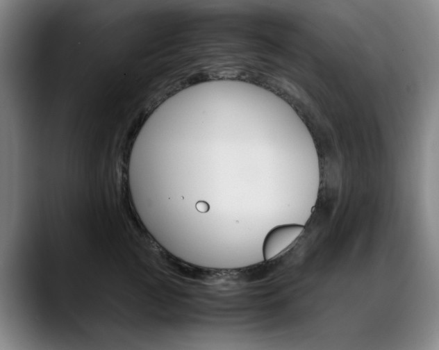 X0000090490761200707130930