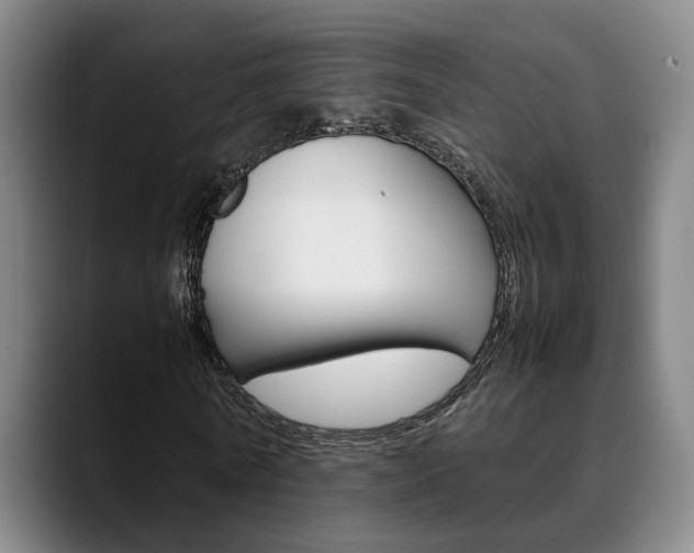X0000090490770200707130930