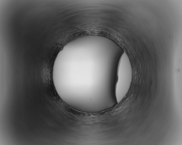 X0000090490772200707130930