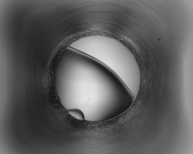 X0000090490776200707130930